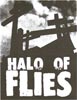 HALO OF FLIES